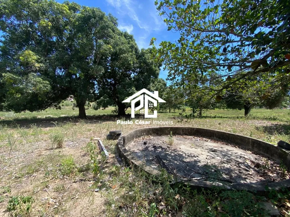Terreno, 2 hectares - Foto 14