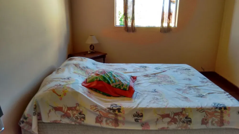 Casa, 5 quartos, 220 m² - Foto 33