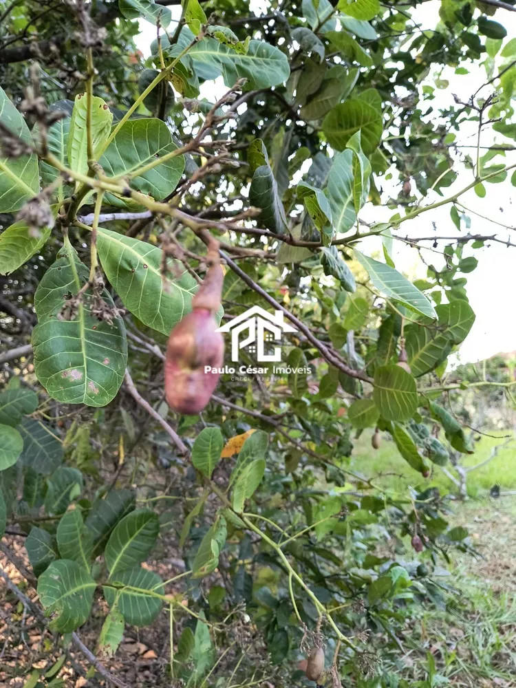 Casa, 1 quarto - Foto 8