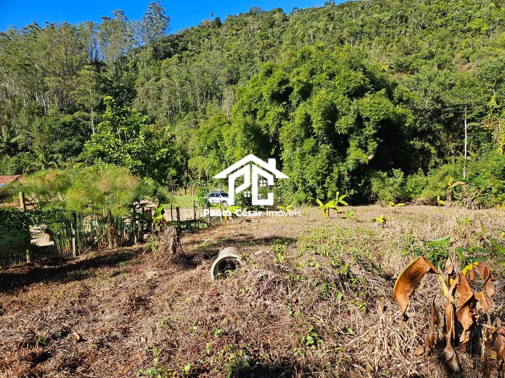 Terreno, 8000 m² - Foto 6
