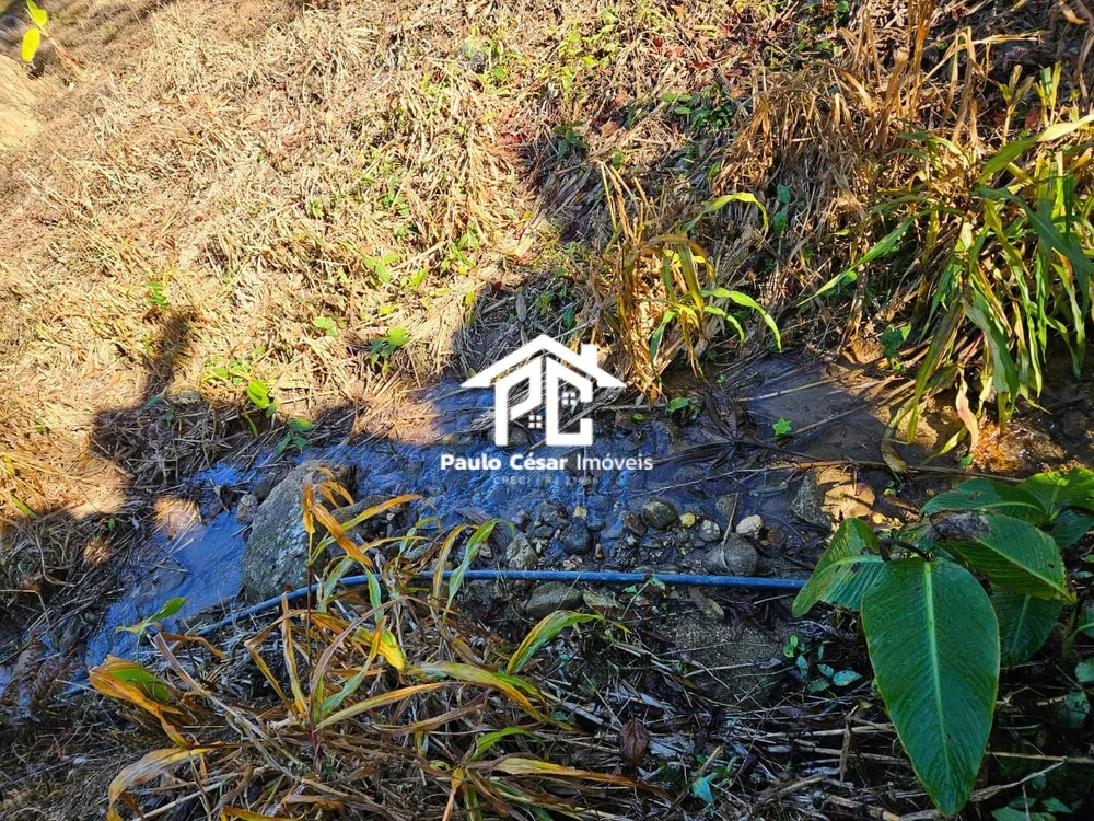 Terreno, 8000 m² - Foto 7