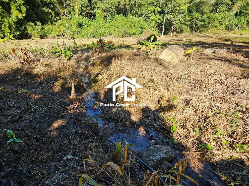 Terreno, 8000 m² - Foto 2