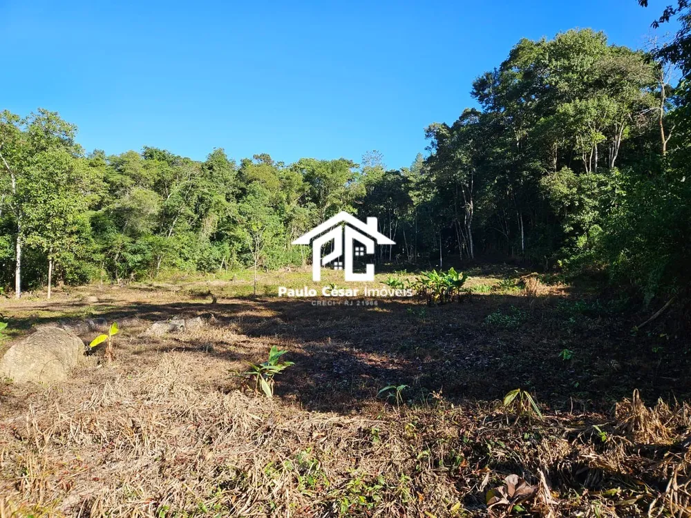 Terreno, 8000 m² - Foto 4