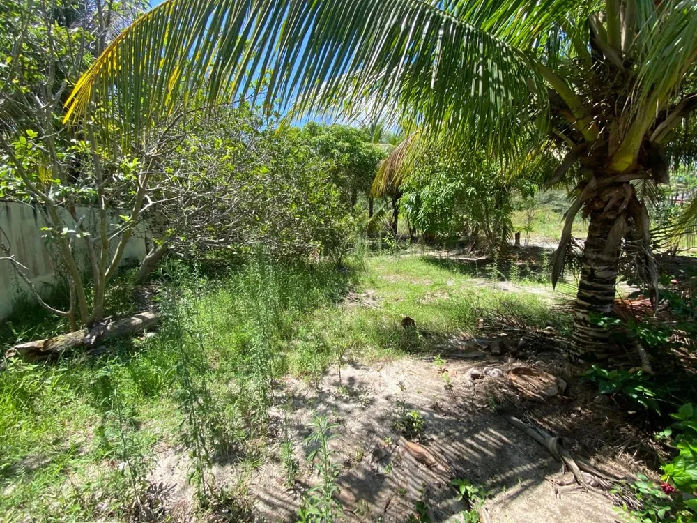 Terreno, 450 m² - Foto 9