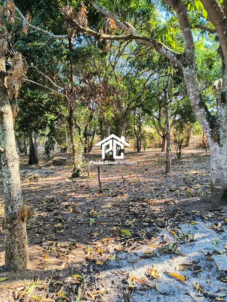 Terreno, 908 m² - Foto 14