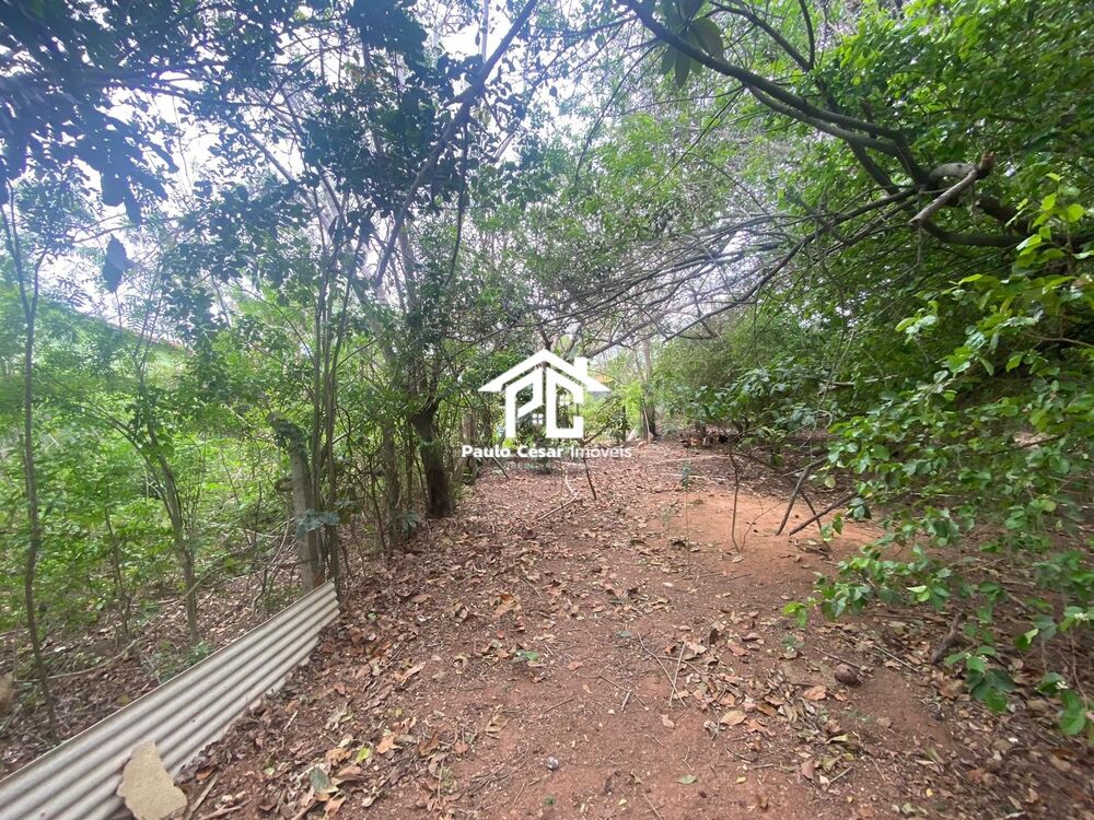 Terreno, 2398 m² - Foto 19