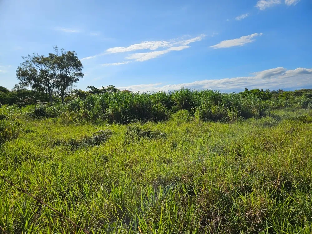 Terreno, 600 m² - Foto 10