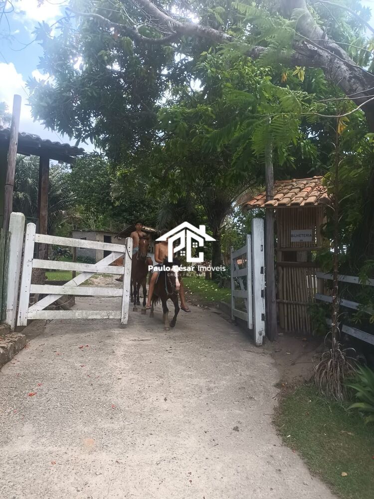 Casa, 4 quartos - Foto 2