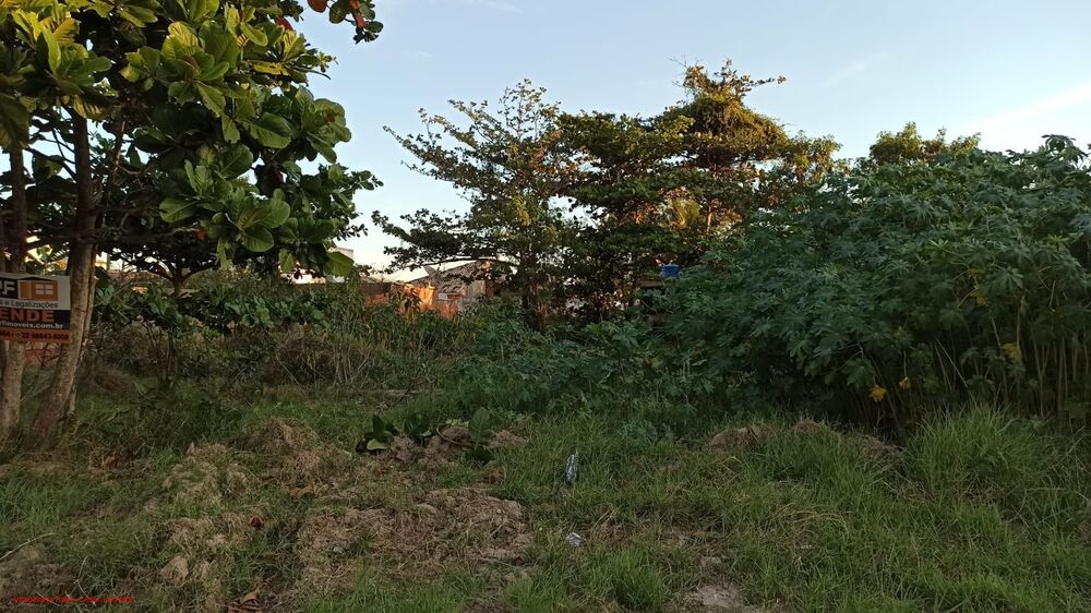 Terreno, 490 m² - Foto 7