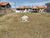 Terreno, 322 m² - Foto 3