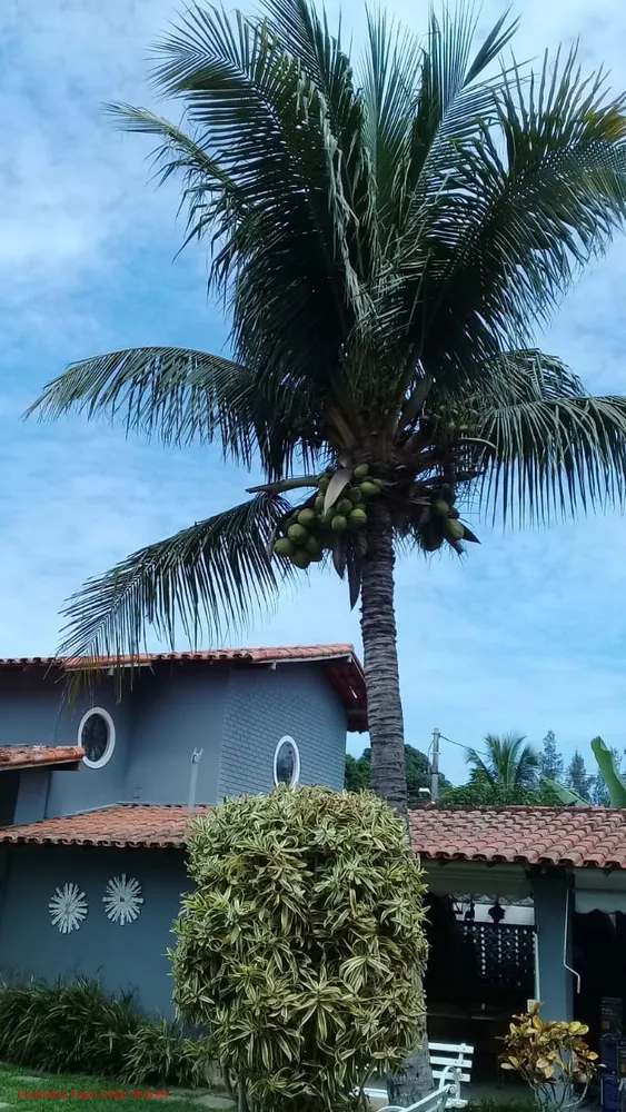 Casa, 12 quartos, 570 m² - Foto 40