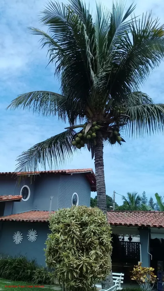 Casa, 12 quartos, 570 m² - Foto 25