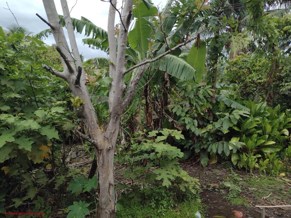 Casa, 3 quartos, 80 m² - Foto 7