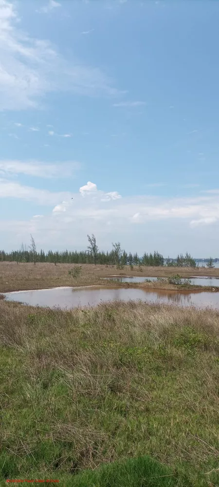 Terreno, 2970 m² - Foto 8