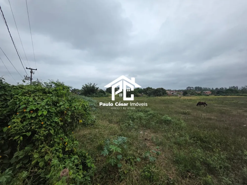 Terreno, 3 hectares - Foto 7