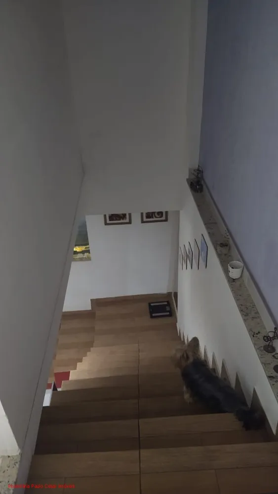 Casa, 4 quartos, 280 m² - Foto 37