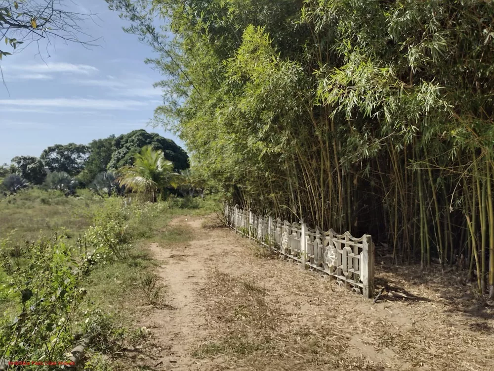 Terreno à venda, 7050m² - Foto 3