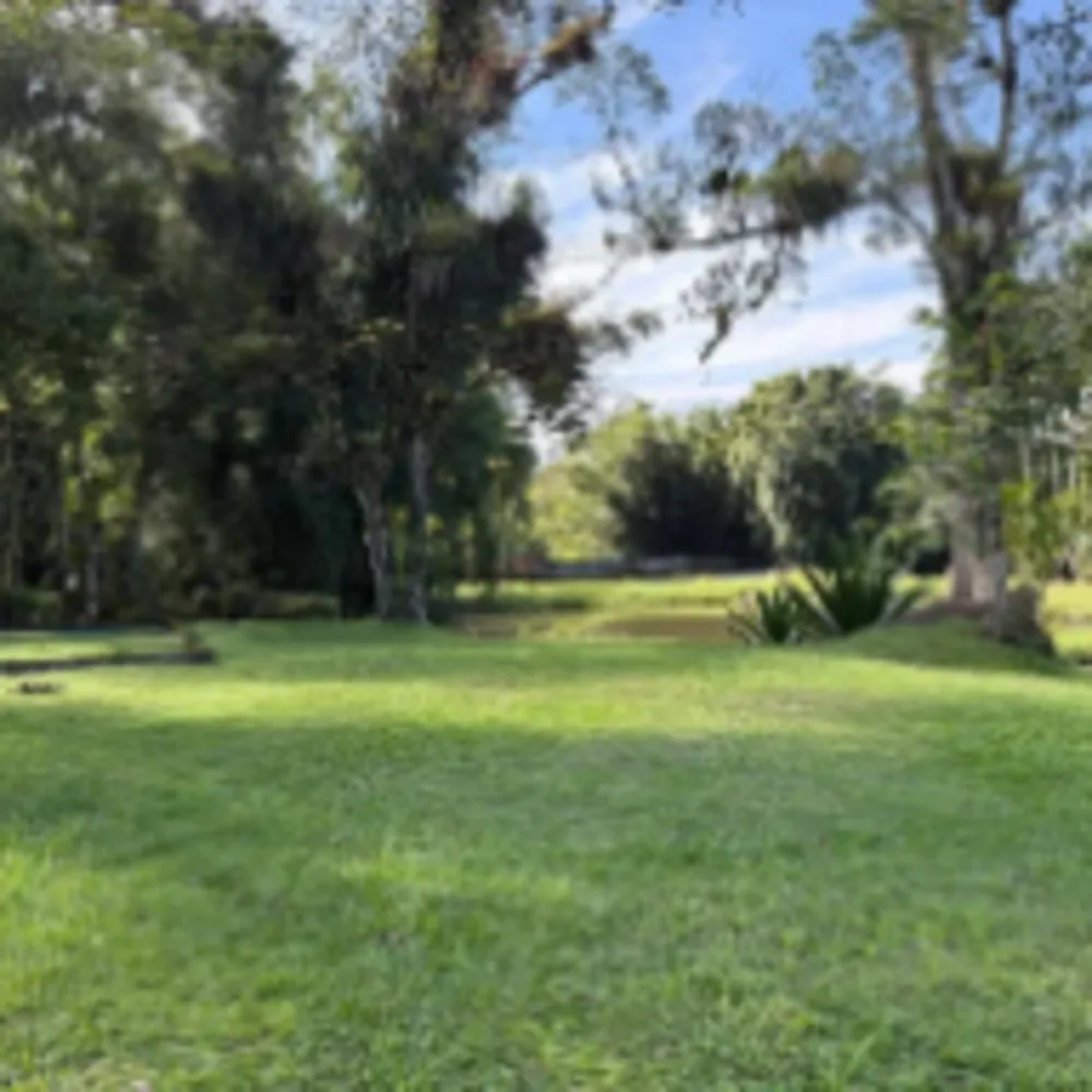 Chácara, 5 quartos, 8 hectares - Foto 12