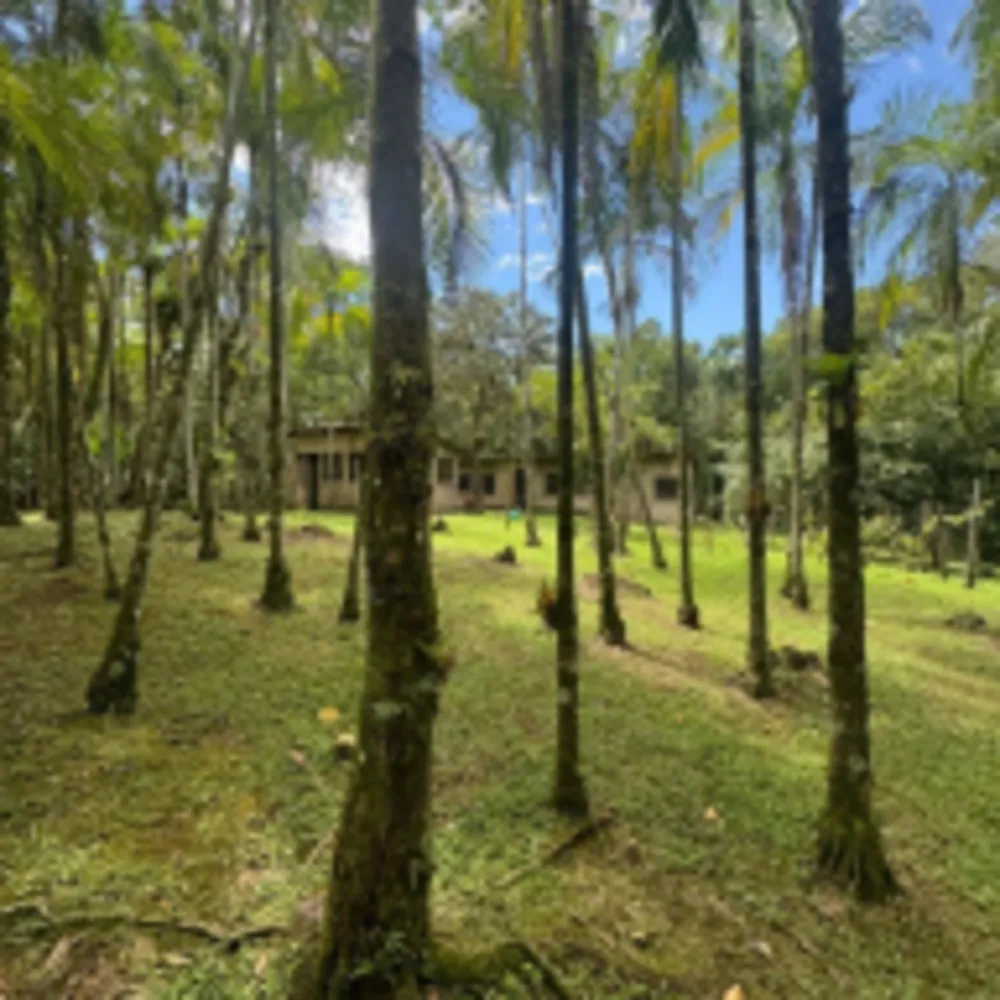 Chácara, 5 quartos, 8 hectares - Foto 11