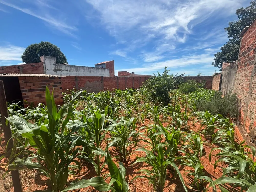 Terreno, 250 m² - Foto 2