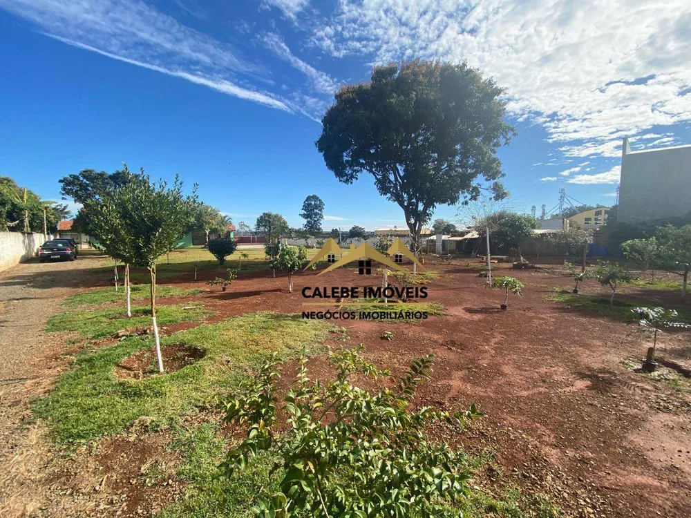 Chácara, 2 quartos, 4243 m² - Foto 10