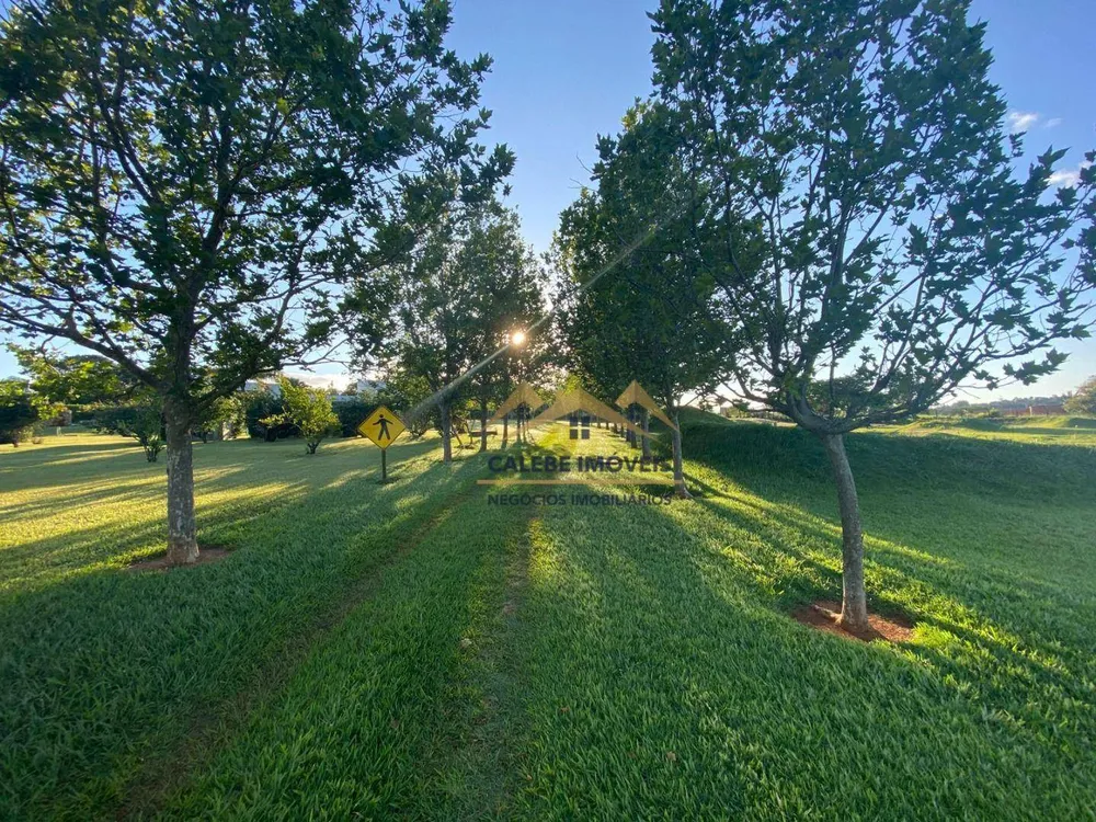 Chácara, 5 quartos, 3 hectares - Foto 3