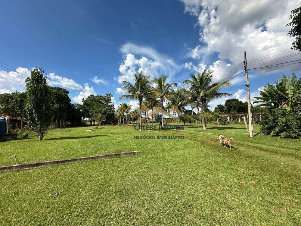 Chácara, 6 quartos, 4607 m² - Foto 6