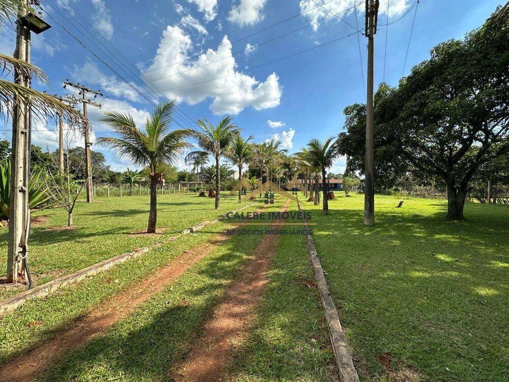 Chácara, 6 quartos, 4607 m² - Foto 3