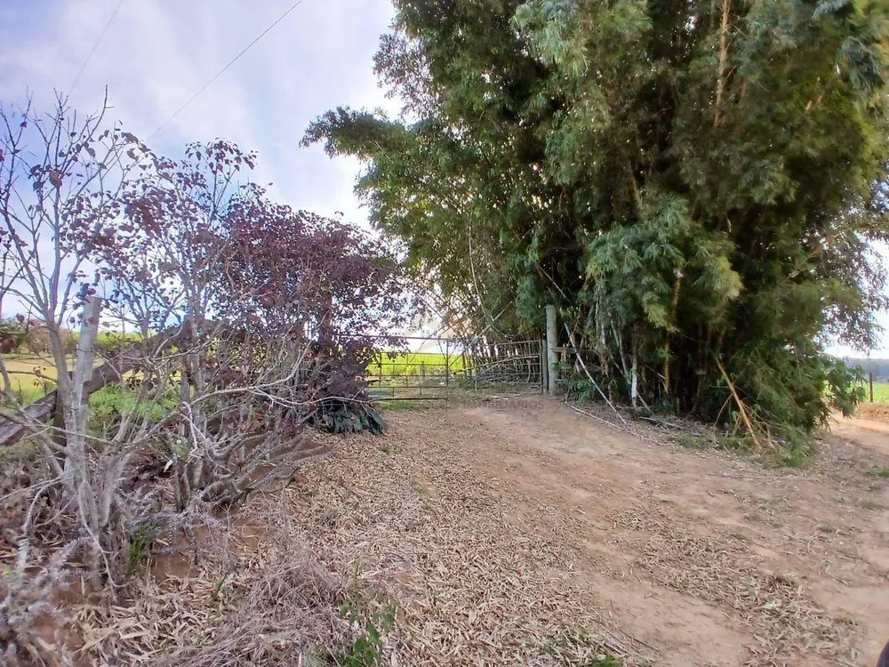 Sítio, 2 quartos, 4 hectares - Foto 11