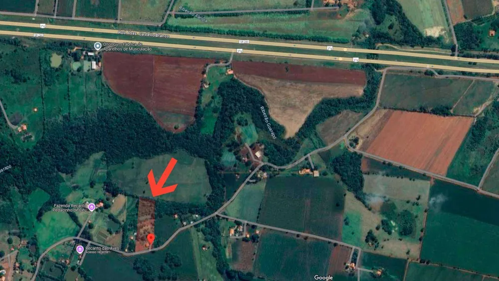 Chácara, 4 quartos, 2 hectares - Foto 1