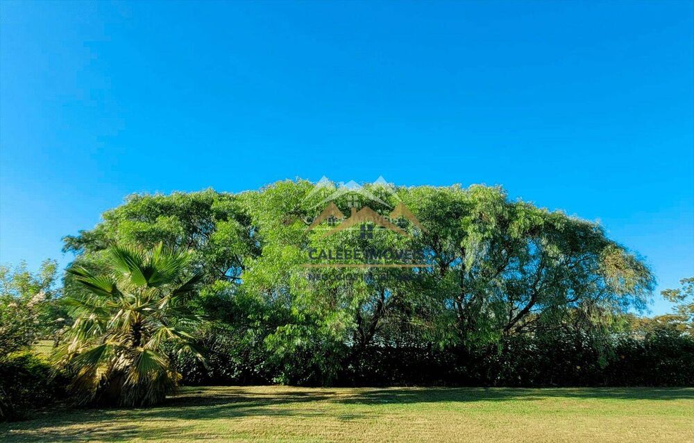 Chácara, 3 quartos, 6 hectares - Foto 4