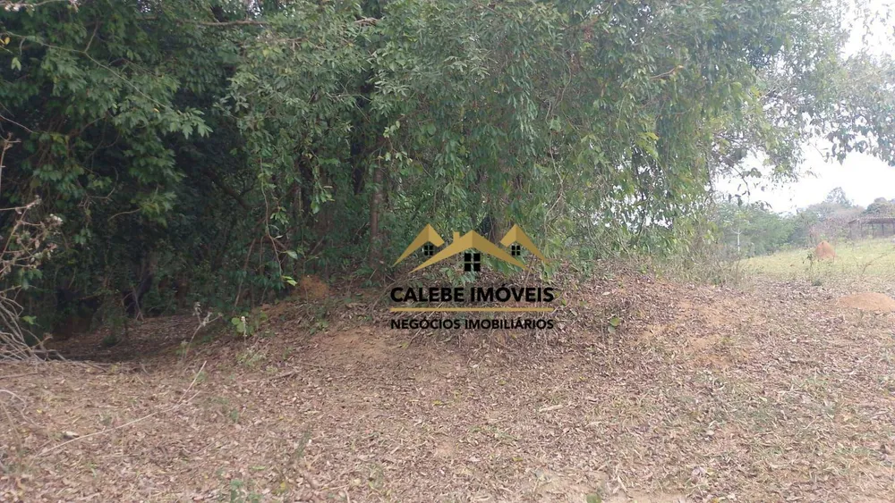 Terreno, 4000 m² - Foto 2