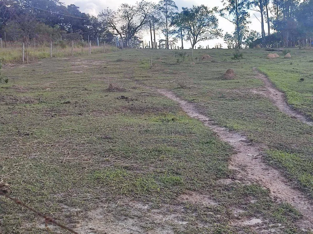 Sítio, 3 quartos, 2 hectares - Foto 3
