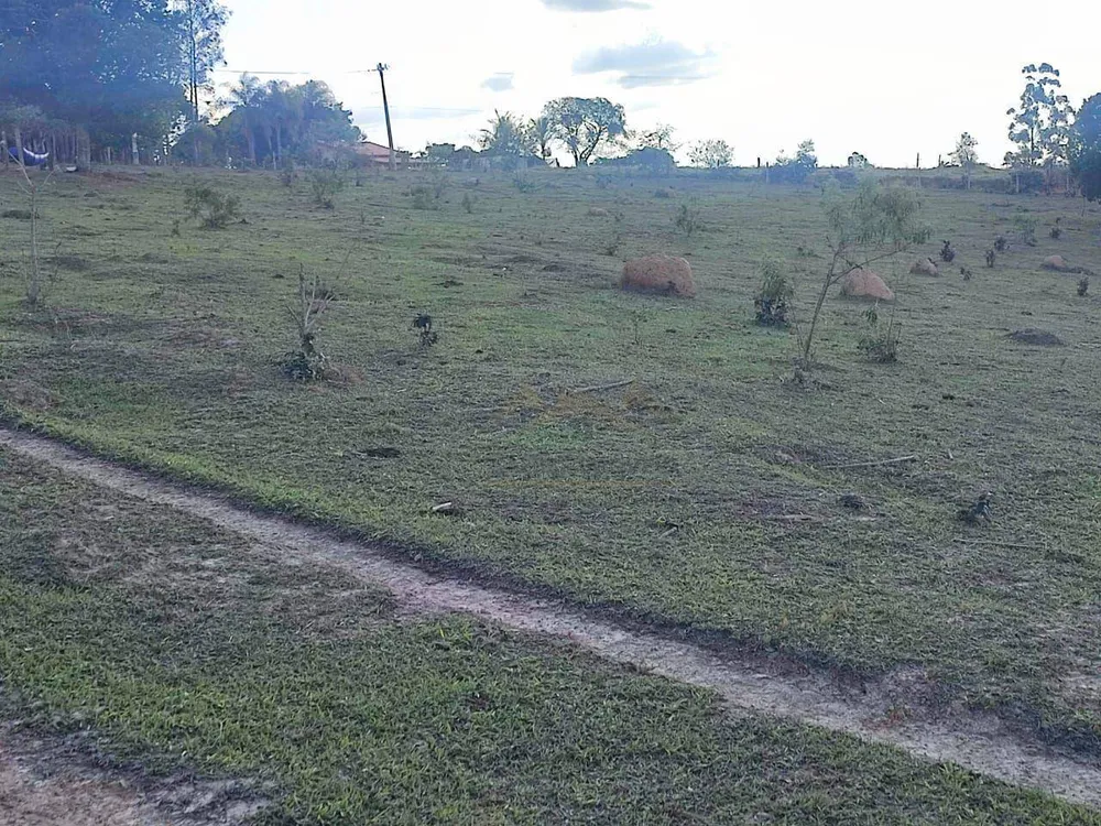 Sítio, 3 quartos, 2 hectares - Foto 1