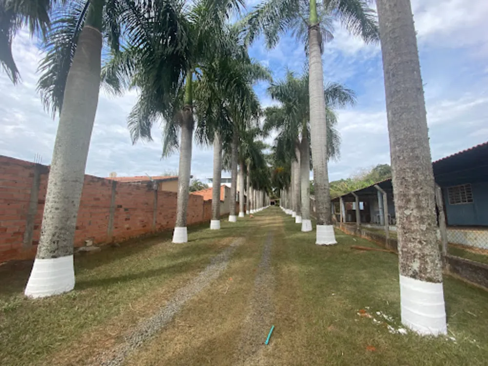 Chácara, 4 quartos, 3800 m² - Foto 9