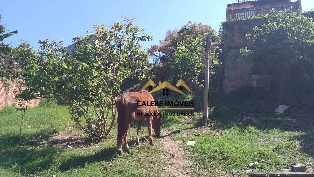 Terreno, 2060 m² - Foto 9