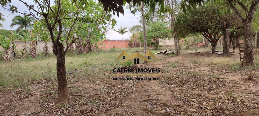 Chácara, 3 quartos, 2000 m² - Foto 5