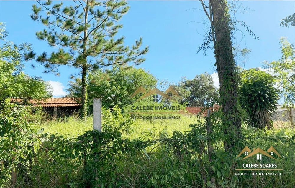 Terreno, 300 m² - Foto 3