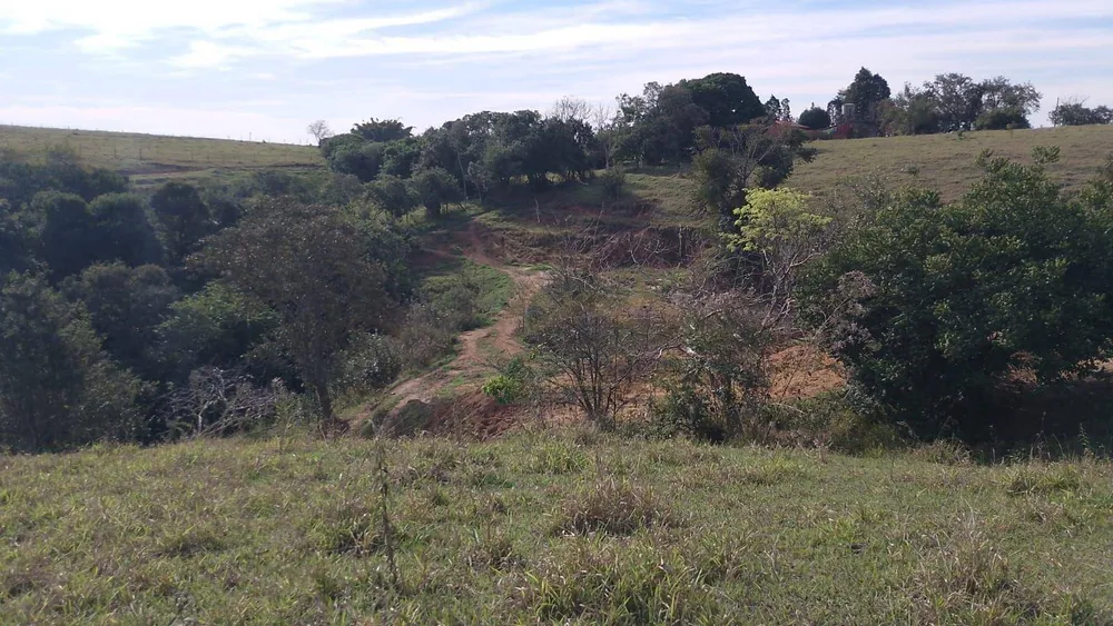 Sítio, 7 hectares - Foto 6