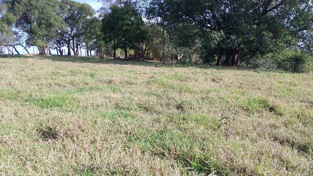 Sítio, 7 hectares - Foto 12