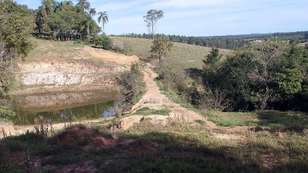 Sítio, 7 hectares - Foto 11