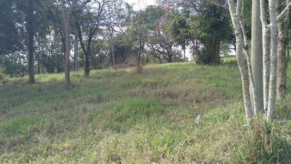 Sítio, 7 hectares - Foto 8