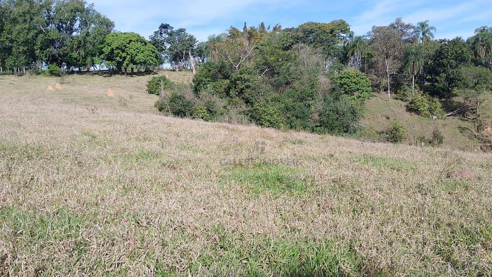 Sítio, 7 hectares - Foto 2