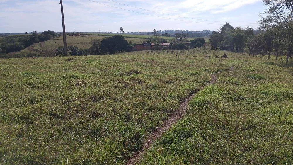 Sítio, 7 hectares - Foto 4