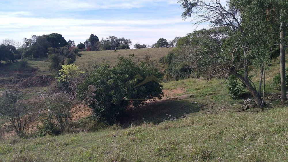 Sítio, 7 hectares - Foto 10