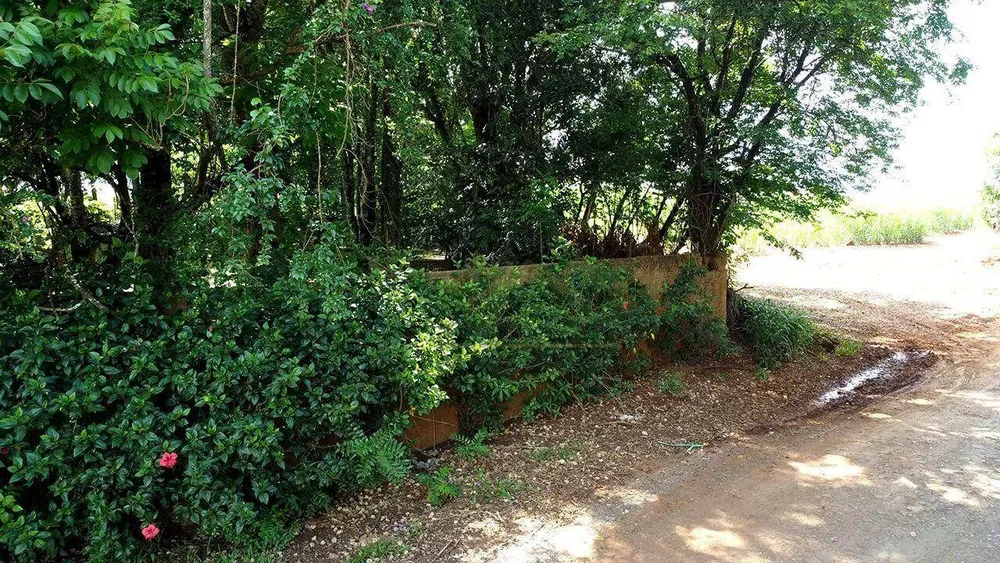Chácara, 3 quartos, 3 hectares - Foto 12