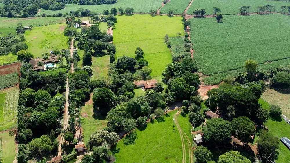 Chácara, 3 quartos, 3 hectares - Foto 3