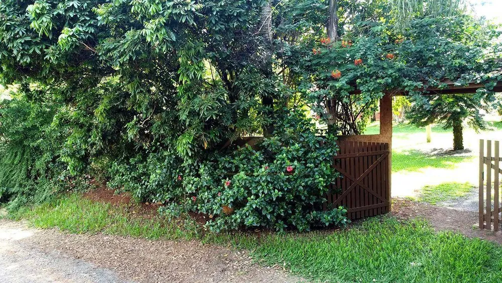 Chácara, 3 quartos, 3 hectares - Foto 10