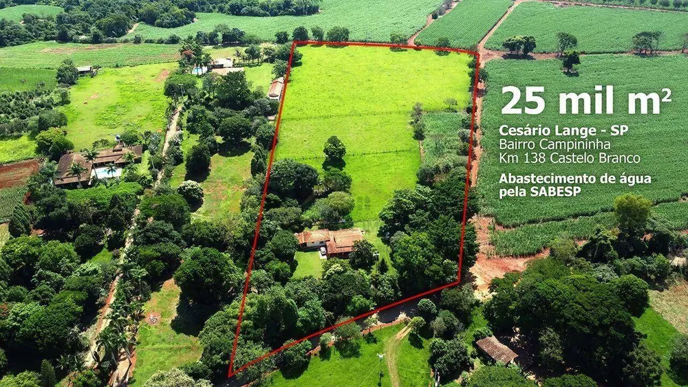 Chácara, 3 quartos, 3 hectares - Foto 1