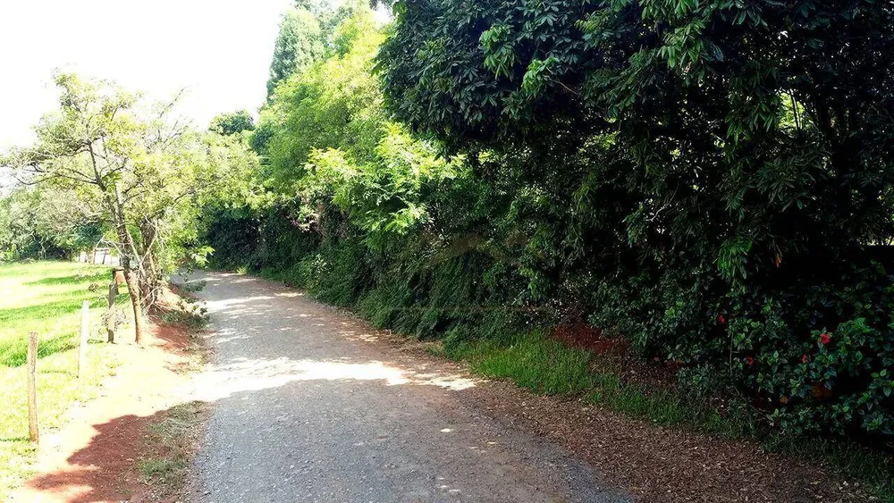 Chácara, 3 quartos, 3 hectares - Foto 11